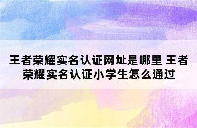 王者荣耀实名认证网址是哪里 王者荣耀实名认证小学生怎么通过